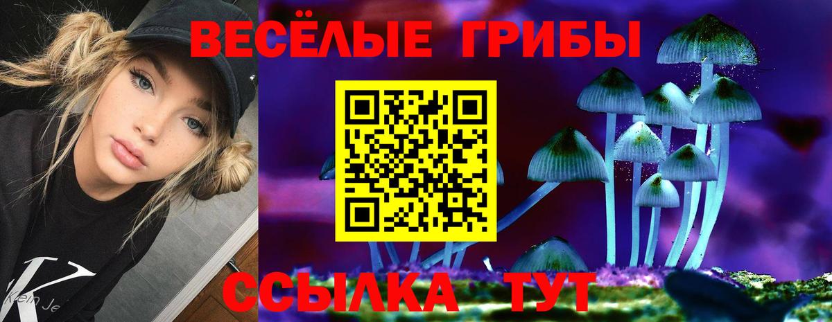 Галлюциногенные грибы MAGIC MUSHROOMS  наркота  Семёнов  Вход с VPN 