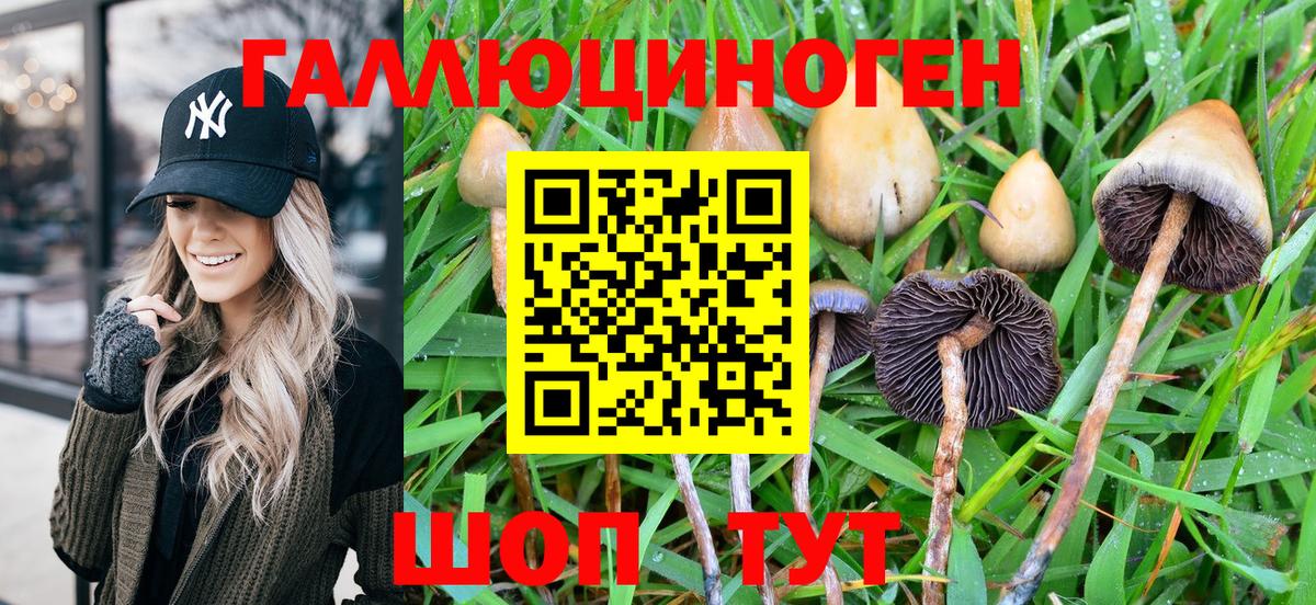 Псилоцибиновые грибы ЛСД Семёнов